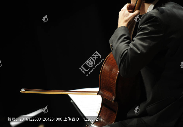 玩智