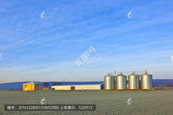 在冬天，在田野中的孤島
