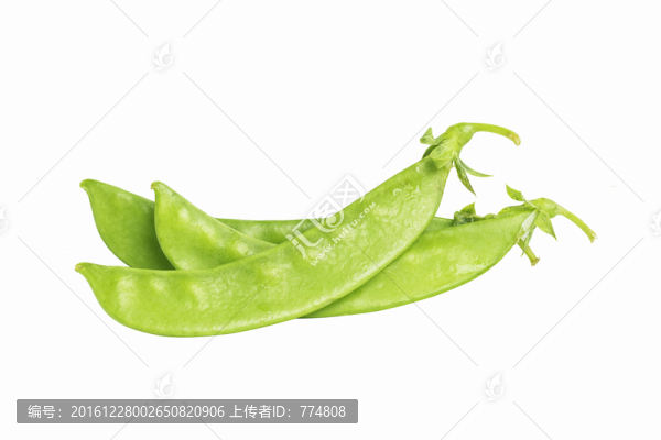 荷蘭豆