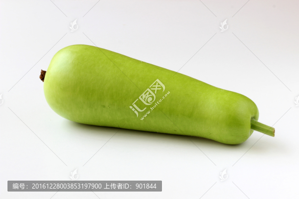 瓠子