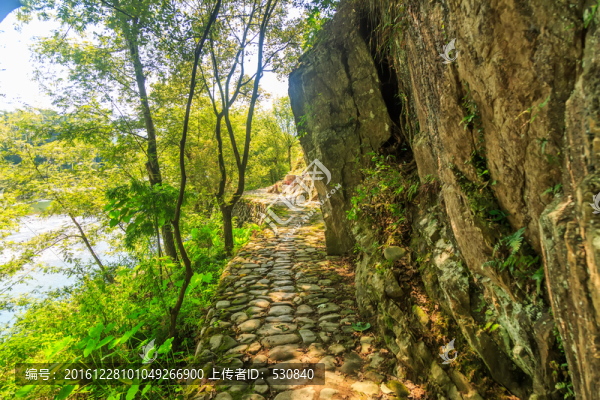 山野小路