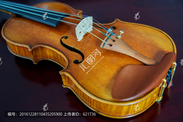 小提琴
