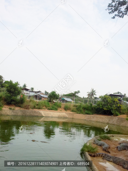 鱷魚灣