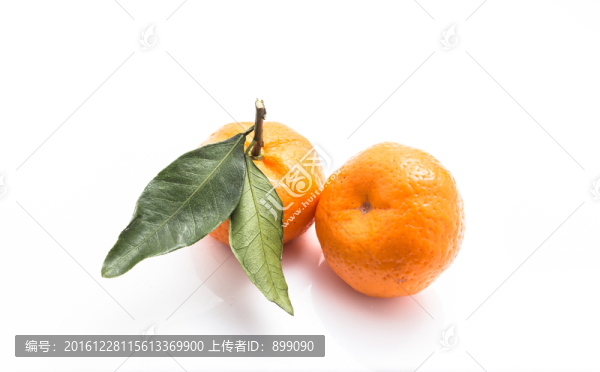 桔子