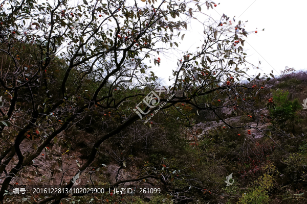 鞏義長(zhǎng)壽山,高清無(wú)噪