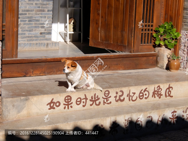 時光
