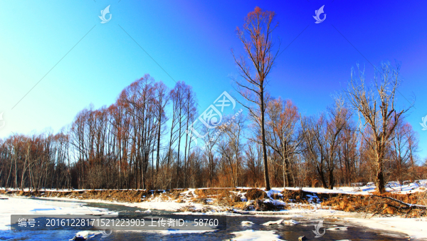 雪河樹(shù)林風(fēng)景
