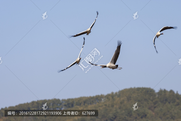 云南念湖風(fēng)光