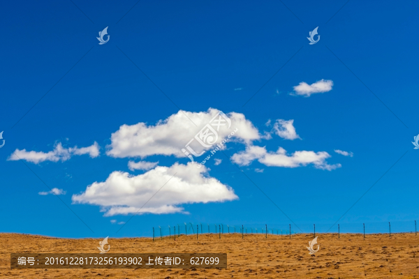 新都橋秋色