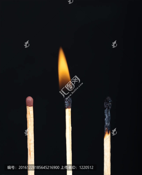 在使用不同階段的樹(shù)比賽