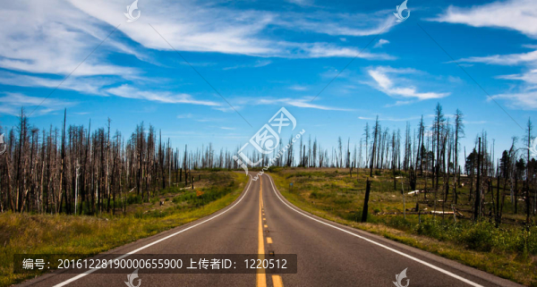 在亞利桑那州的路上