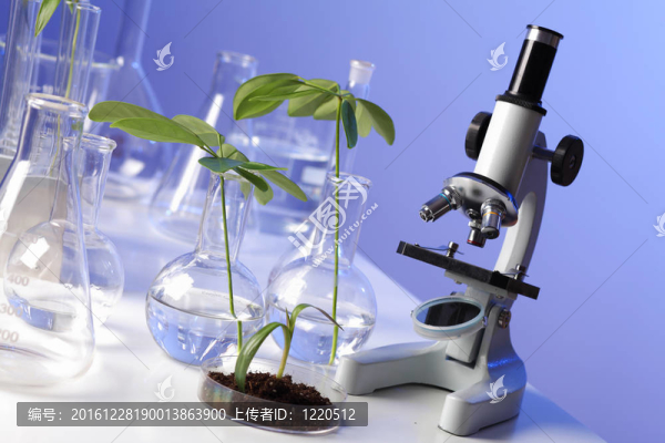 在綠色植物生物學(xué)實驗室