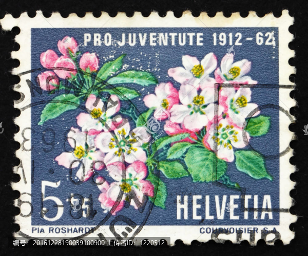 郵票瑞士1962蘋果花；蘋果樹；Malus