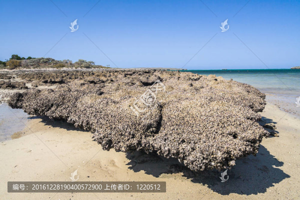 andavadoaka瀉湖