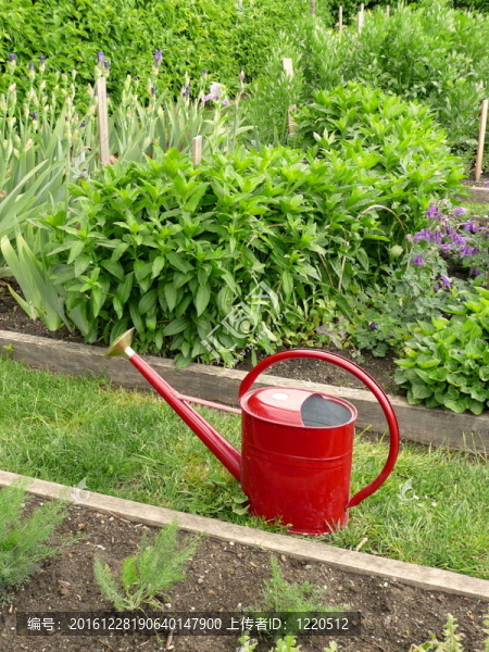 花園噴壺