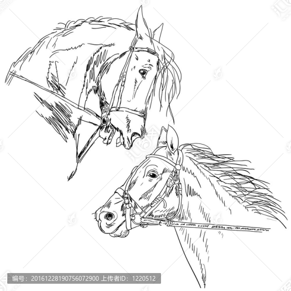 黑色的馬