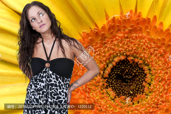 女人和Yellow,Gerbera,Daisy