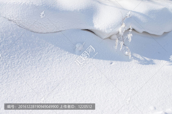 冬天的雪