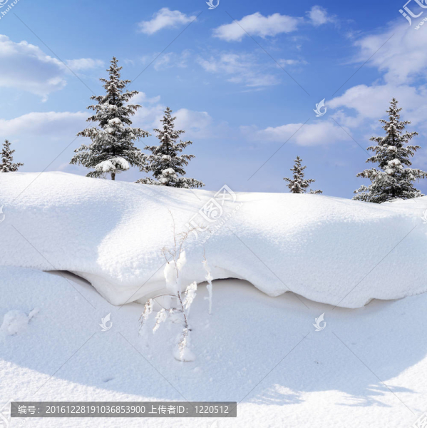 白雪覆蓋的