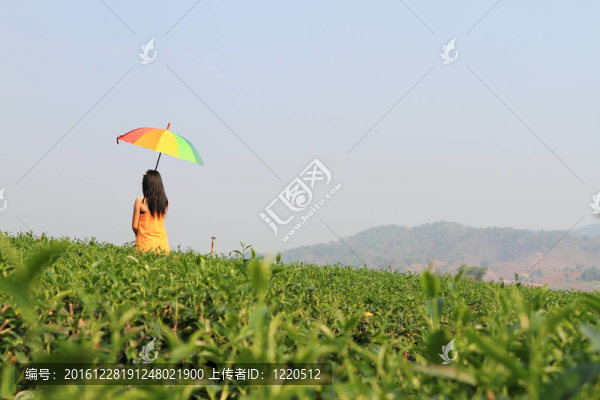 美麗的女人拿著五顏六色的傘和藍(lán)色的天空