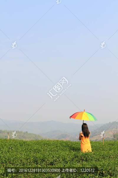 美麗的女人拿著五顏六色的傘和藍色的天空