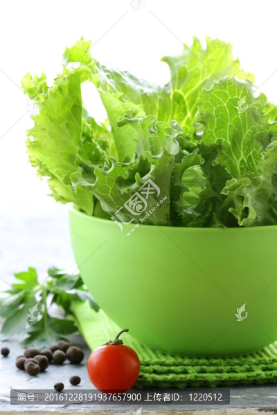 生菜