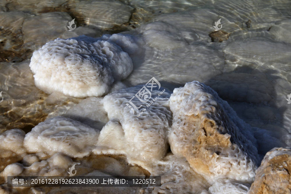 死海鹽