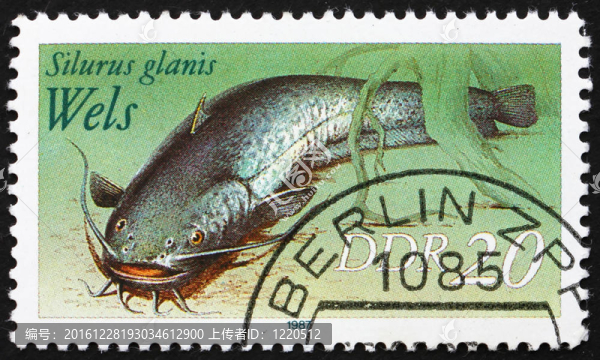 郵票GDR,1987鲇；Sheatfish；六須鯰魚