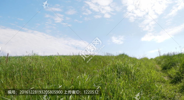 地平線與塵埃之路