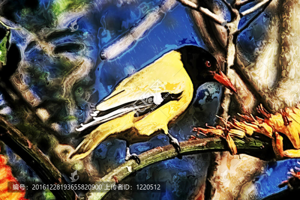 黃色的鳥