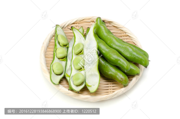 蠶豆