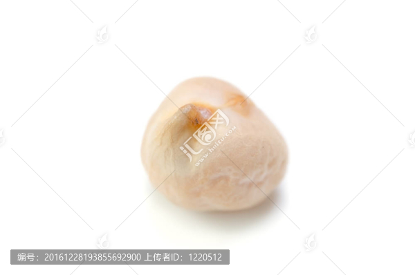 鷹嘴豆