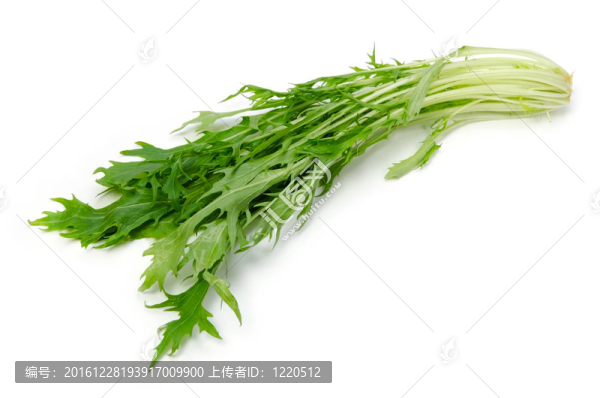mizuna