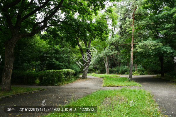 公園里的小路