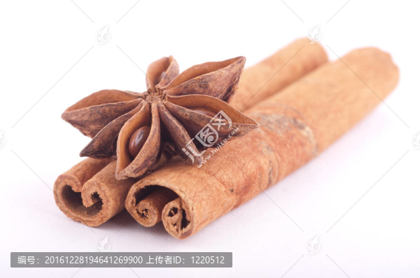 肉桂八角茴香枝白色隔離