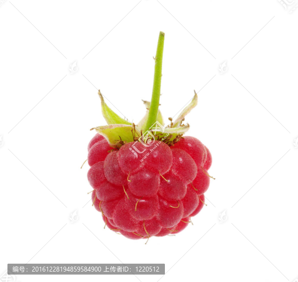 覆盆子