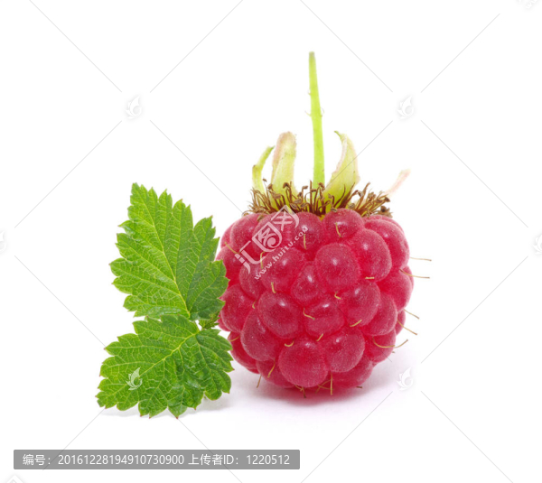 覆盆子