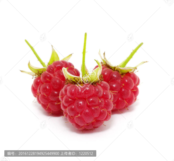 覆盆子