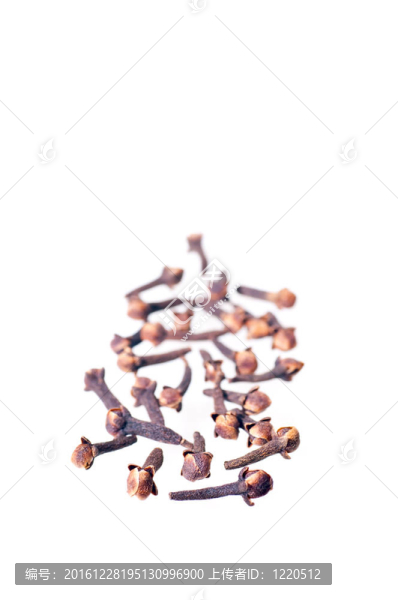 丁香