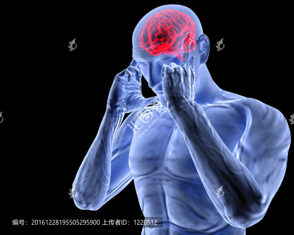腦