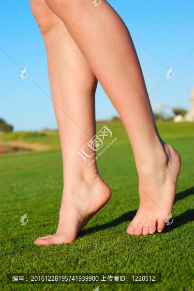 美麗的女性腿在草地上