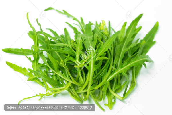綠色的芝麻葉