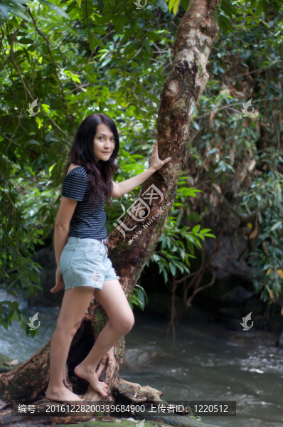 亞洲泰國美女站在瀑布的樹上
