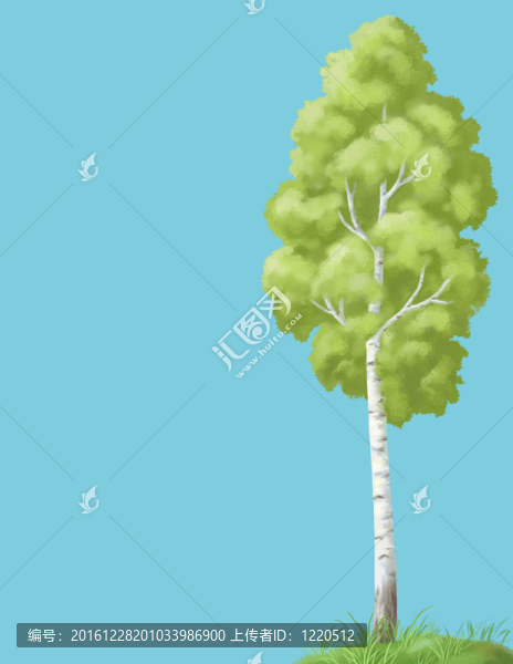 圖畫；樹與天空