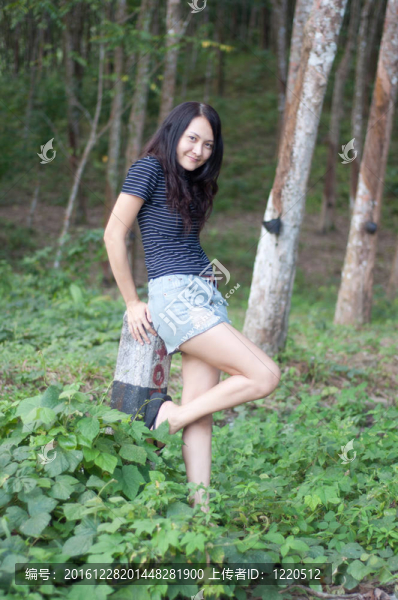 亞洲泰國(guó)森林美女