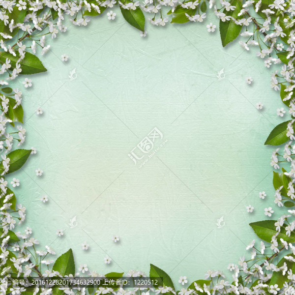 花的美麗與框架bouque寫(xiě)作背景