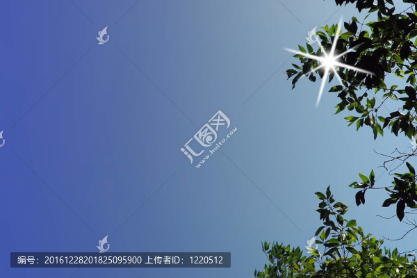 堅持在陽光下