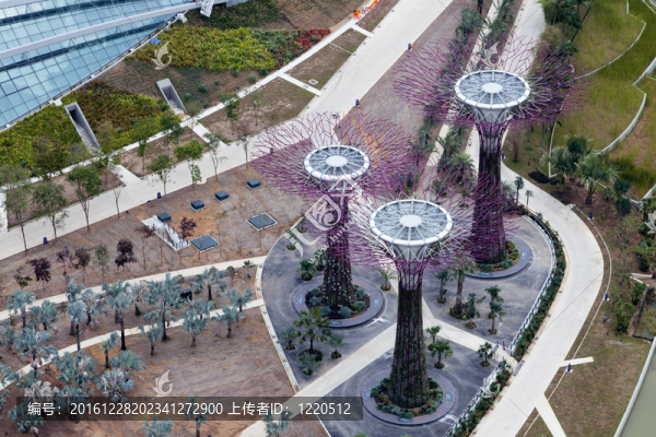 新加坡正在興建的新植物園