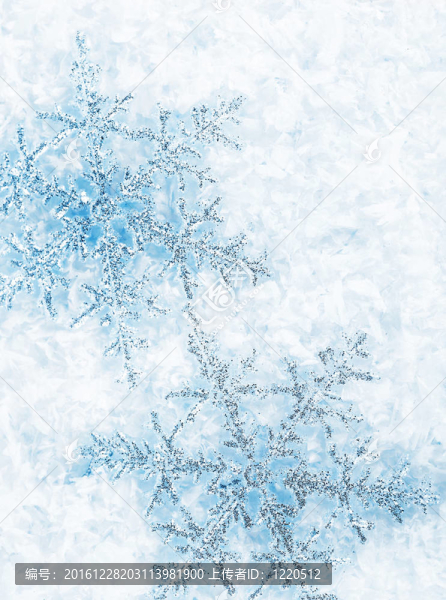Snowflake的背景
