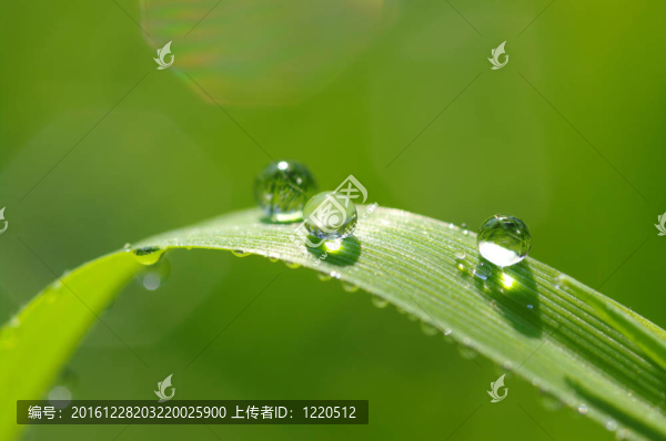 水滴